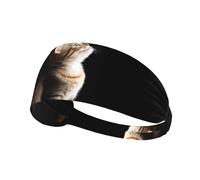 YTUOPWE Curious kitten Picture Elastic Exercise Headband Sports Head Tie for Men and Women, Soft, Quick-Dry