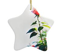 YTUOPWE Dictatorship Rose Picture Christmas Ceramic Star Pendant Festive and Creative Decoration Easy to hang