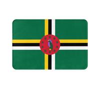 YTUOPWE Doormat floor mat 16x24in Flag of the Commonwealth of Dominica Picture water-absorbent Anti-slip, for front doors, entrances, and bathrooms