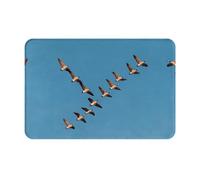 YTUOPWE Doormat floor mat 16x24in Geese flying in the clear autumn sky Picture water-absorbent Anti-slip, for front doors, entrances, and bathrooms
