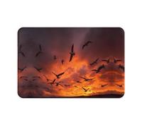 YTUOPWE Doormat floor mat 16x24in The geese at sunset Picture water-absorbent Anti-slip, for front doors, entrances, and bathrooms