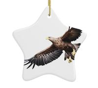 YTUOPWE Eagle in the sky Picture Christmas Ceramic Star Pendant Festive and Creative Decoration Easy to hang