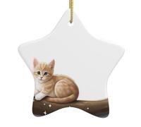 YTUOPWE Kitten looking at the stars Picture Christmas Ceramic Star Pendant Festive and Creative Decoration Easy to hang
