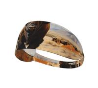 YTUOPWE North American bison herd Picture Elastic Exercise Headband Sports Head Tie for Men and Women, Soft, Quick-Dry