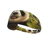 YTUOPWE Panda portrait photo Picture Elastic Exercise Headband Sports Head Tie for Men and Women, Soft, Quick-Dry