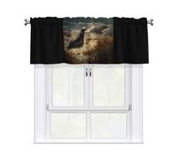YTUOPWE Sea lions on the coast Picture Curtain Valance 54x18in for Kitchen, Bathroom, Laundry Room, and Studio Decor