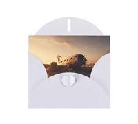 YTUOPWE White Holiday greeting check blank card and pearl beautiful blank note block Plane wreckage Picture