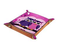 YTYVAGT Valet Tray Desktop Storage Organizer,Bedside Vanity Tray Travel Valet Tray,5.7x1.18 in,Animal Owls Couple Love Heart