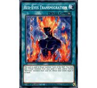 Yu Gi Oh DLCS-EN068 1st Ed Red-Eyes Transmigration Common Card Dragons of Legend the Complete Series Single Card