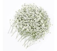 Yuannee Natural Dried Baby’s Breath Flowers,100 PCS Gypsophila Pressed Flowers Mini Artificial Gypsophila White for Resin Art Wedding Decorations DIY Crafts Home Styling 5 - 10cm