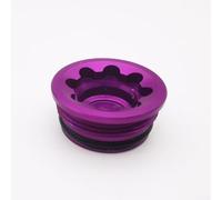 Yuanpgky Hydraulic Disc Brake Caliper Cap for Hope Tech 3 E4, Aluminum Alloy Brake Bore Cover, Large Size 19.8x9.2mm, 5g, Red/Green/Purple/Silver(Purple)