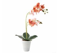 Yuanpgky TitleSilk Double-Stem Phalaenopsis Orchid Arrangement with Pot, 39cm Realistic Artificial Flowers for Home Wedding Party Decoration