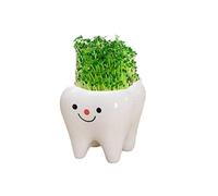 YUANstore 1Pc Tooth Shape Pot Bonsai Ceramic Flower Pot DIY Small Balcony Decorations Succulent Plants White Succulents Pots