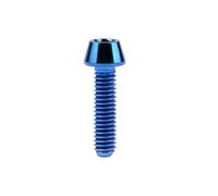 YUANYAO 4PCS Titanium Bolts M4 X 8 12 15 20mm Allen Key Head Screws for Bike Front & Rear Gearbox Ti(Blue,12MM_M4)