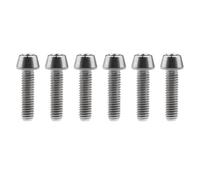YUANYAO 6pcs Titanium Ti Bolts M4x8/12/15/20mm Tapered Head Hex Bicycle Bike Screw (Color : Titanium, Size : 20MM_M4)