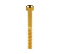 YUANYAO M5x30 35 40 45 50 55 60 Mm Titanium Bolt Torx Head Screw For Bicycle Motor Multiple Colors(Gold,50MM_M5)