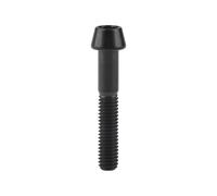 YUANYAO Titanium Ti M6X10 16 18 20 25 30 35 40 45 50 55 60 65mm Taper Head Bolt Allen Key Screw For Bicycle Headset Brake(Black,25MM_M6)