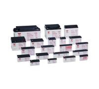 Yuasa NP Series NP3.2-12 Valve Regulated Lead-Acid Battery SLA 12V...