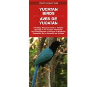 Yucatan Birds/Aves de Yucatan, 2nd Ed: A Folding Pocket Guide to Familiar Species/Una Guia Plegable Portatil de Especies Conocidas (Nature Observation International)