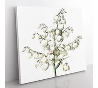 Yucca Flowers by Pierre Joseph Redoute Vintage Canvas Wall Art Print Ready to Hang, Framed Picture for Living Room Bedroom Home Office Décor, 50x50 cm (20x20 Inch)