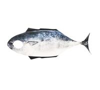 yuchdzexu Fish Costume Men | Halloween Suit,Funny Cozy Realistic Animal Costume for Adult Cosplay Party Halloween Festival Masquerade Events Role Play
