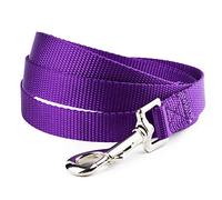 YUDOTE Nylon Dog Leads,Easy to Clean,Soft Lightweight Leash for Daily Walk with Puppies and Small Breeds, 1.5cm Wide 120cm Long, Vibrant Purple