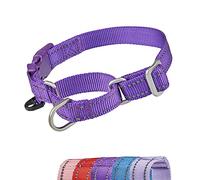YUDOTE Reflective Martingale Dog Collars Escape-proof Anti-pull with Safety Quick Release Buckle for Narrow Head Canines Ease Walking,Large,Purple