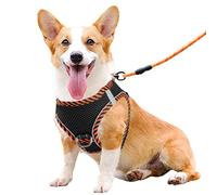 YUDOTE Step-in Reflective Harness Easy-on Easy-off 2-Layer Soft Mesh Vest with ID Tag Holder for Medium Dogs Daily Use,Black with Orange