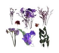 Yuecjian Dried Flowers with Stems | Natural Dried Flower Arrangements | Seasonal Decor for Shower Garden Wedding Jewelry Making Dinner Market Christmas