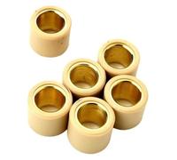 yuegu 6PC Variator Roller Weights 13g 21x17mm Compatible With Beverly125 Tourer125 Carnaby125 MP3ie X7 X10 X-Evo 125cc Replaces 842870 yuegu