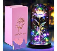 YUEHAO Beauty and the Beast Rose in Glass Dome LED Lights, Enchanted Rose Eternal Rose Set Made of Silk, Romantic Gift for Women, Wedding, Valentine's Day, Mother's Day, Anniversary, Christmas Day