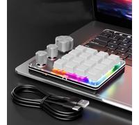 YUEHISY 16 Keys 3 Knobs Macro Programmable Keyboard, 3 Modes Customize Mechanical Keypad, Blue Switch Hot Swappable Numpad, Gaming Keyboard with RCG Light (White)