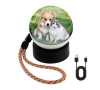 YUEKUNTJ DIY Video Display Sphere Personalized 3D Video Crystal Balls 3D Memory Orb Ball Digital Display Memory Sphere Lamp Rechargeable 180° Wide Angle with Base for Home Travel Trip(White)