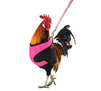 YUEPET Adjustable Chicken Harness with Leash Elastic Comfortable Breathable Pet Harness for Duck Goose Hen Traning Walking,Medium