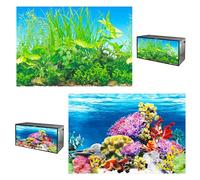 yueXinCh Aquarium Background Underwater Poster Double-sided Pattern Fishbowl Stickers Fish Tank Wall Decorations Sticker PVC Coral Aquarium Decor Backgrounds Underwater Poster 62 * 30 cm