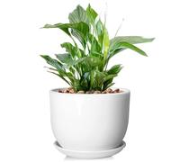 YUFDA 8 Inch Ceramic Planter, Plant Pots with Drainage Hole and Separable Saucer,Indoor-Outdoor Round Succulent Orchid Flower Pot,Indoor pots for Plants(Smooth White,Plant Pot only)