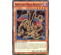 YuGiOh MP17-EN132 1st Ed Predaplant Moray Nepenthes Common Card - ( 2017 Mega-Tin Mega Pack Single Card )