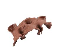 YUGSHNKFC Fishtank Landscape Accessory Tunnel Cave Shelter House for Water Pet Fish Exploration Safe Hideouts Decoration Modern Fishtank Accessory