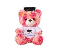 YUGSHNKFC Stuffed for Doll Size Plush Bear with Graduation Suits Children College Students Graduation Office