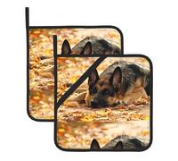 YUGTAEE German Shepherd Dog Picture Square Insulation Pot Mat 2 Pieces Thick and durable with lanyard for Microwave Ovens, Ovens, Outdoor Grilling