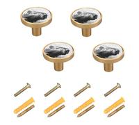 Yuiboo 4 Pack Cabinet Drawer Door Knob Capybaras Grunge Gray Cabinet Hardware for Kitchen Cabinets and Dresser Drawers Brushed Nickel