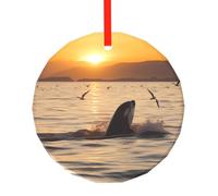 yujhopp Killer Whale Under Sunset Print Glass Ornament, Round Pendant Christmas Tree Ornaments Outdoor Holiday Decor for Party Xmas Wedding