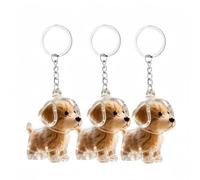 Yujinpu 3PCS Pet Hair Storage Keyring,Dog Keyring,Cat Hair Keepsake,Transparent Memorial Keychain for Pet Lovers,Portable Keepsake Holder,Dog Hair Keychain,Pet H/air Souvenir Capsule Pendant