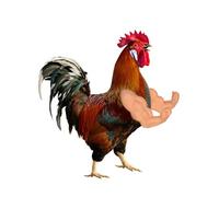 YUKEI Chicken Arms for Hens - Fun, Durable, Artificial Muscle Arms Toy - Perfect for Parties, Photoshoots and Pranks