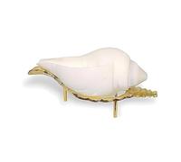 Yuktha Eternals Natural Non Blowing Conch with Brass Stand for Pooja Seashell Sculpture Wall Hanging Art for Home Decor.