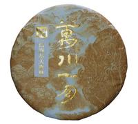 Yulin Ancient Tea 2021 Wanchuan Yiyue Raw Puerh Tea Sheng Pu-erh Cake 357g
