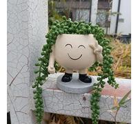 Yulokdwi Swing Face Planter, Swinging Face Planter,Swing Face Planter Pots,Resin Wall,Wall Hanging,Cute Swing Flower Pots For Family And Friends Home Garden Decoration