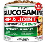 YUMA'S Glucosamine for Dogs - Hip & Joint Supplement for Dogs - 170 CT - Glucosamine Chondroitin for Chewable Dogs - Joint Pain Relief for Dogs with