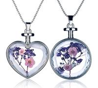 Yumilok 2pcs Purple Real Dry Flowers Forget me not Specimen Transparent Glass Alloy Heart Round Bottle Pendant Necklace for Women/Girls