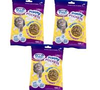 Yummy Cat Treat Pockets - Salmon, Chicken, Catnip & Tuna 3 Packs, Mixed 4-Pack Bundle | Soft Filled Snacks | Healthy Treats Zvire (Pack Of 3, Yummy Cat Treat Pockets w/Chicken 100g)